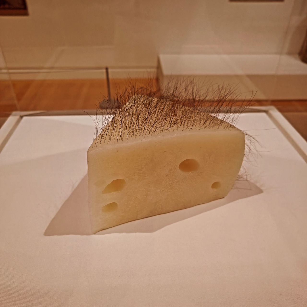 Short Haired Cheese - Robert Gober