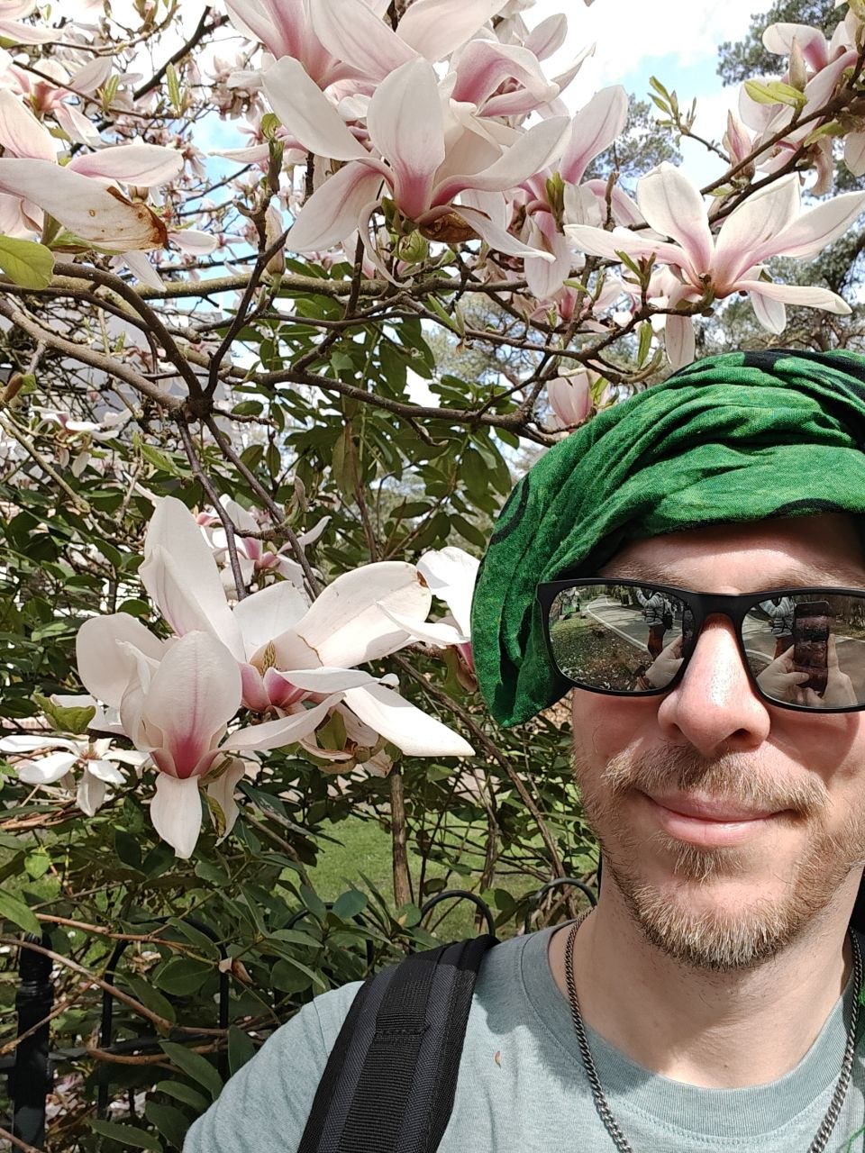 Magnolia flowers.