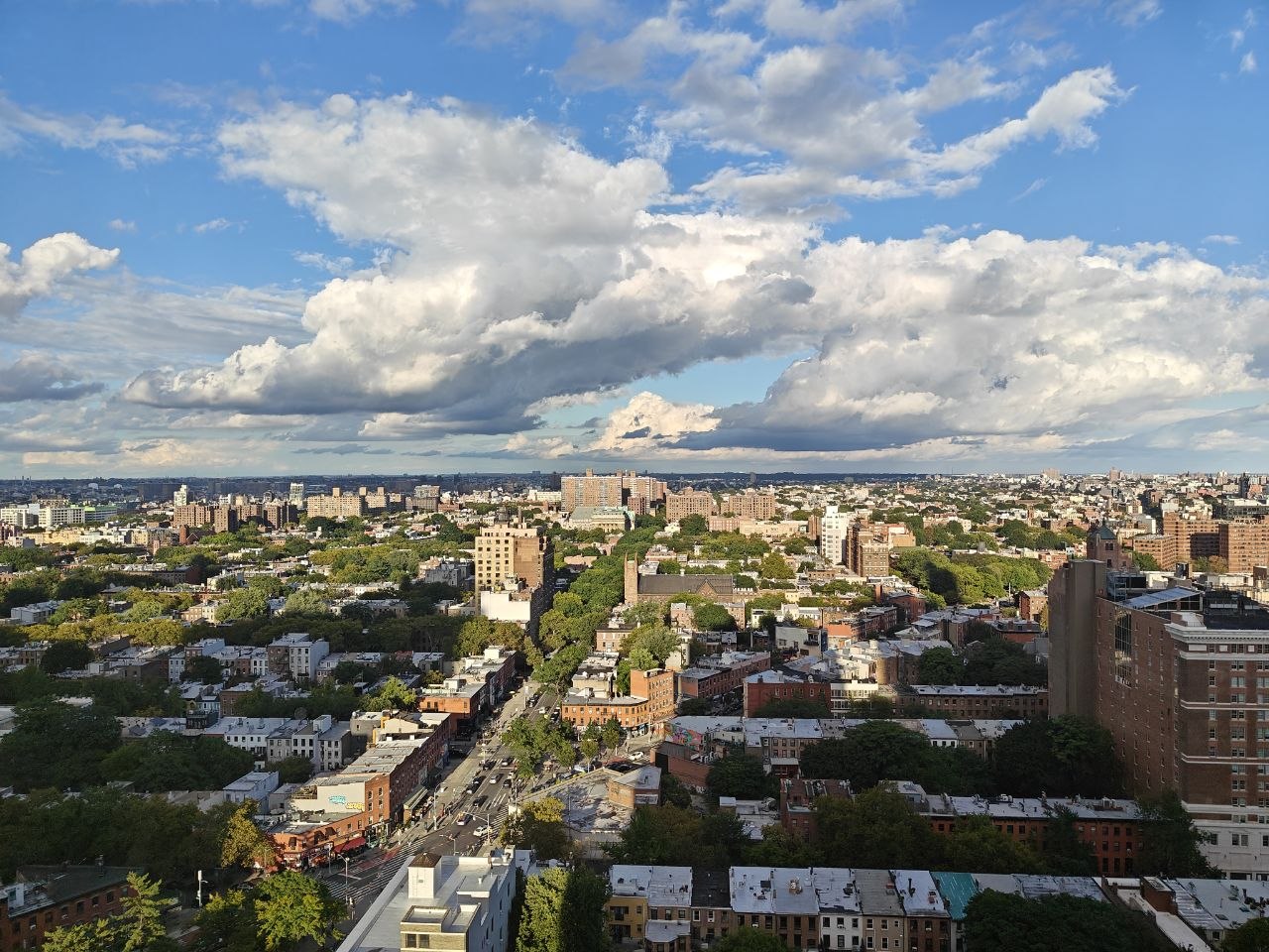 view over Brooklyn rooftops under a cloudy sky