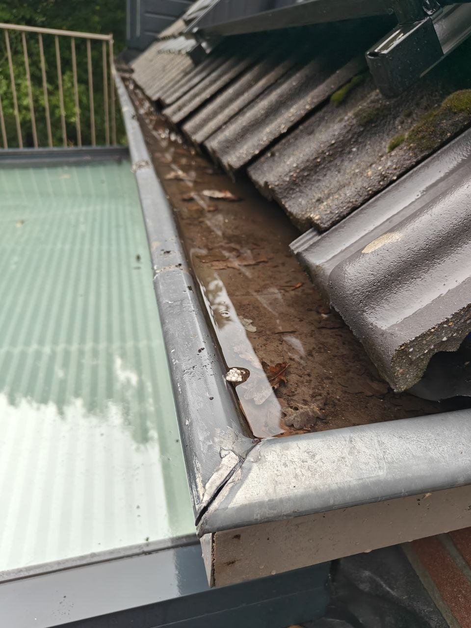 roof gutter filled with water and fallen leaves