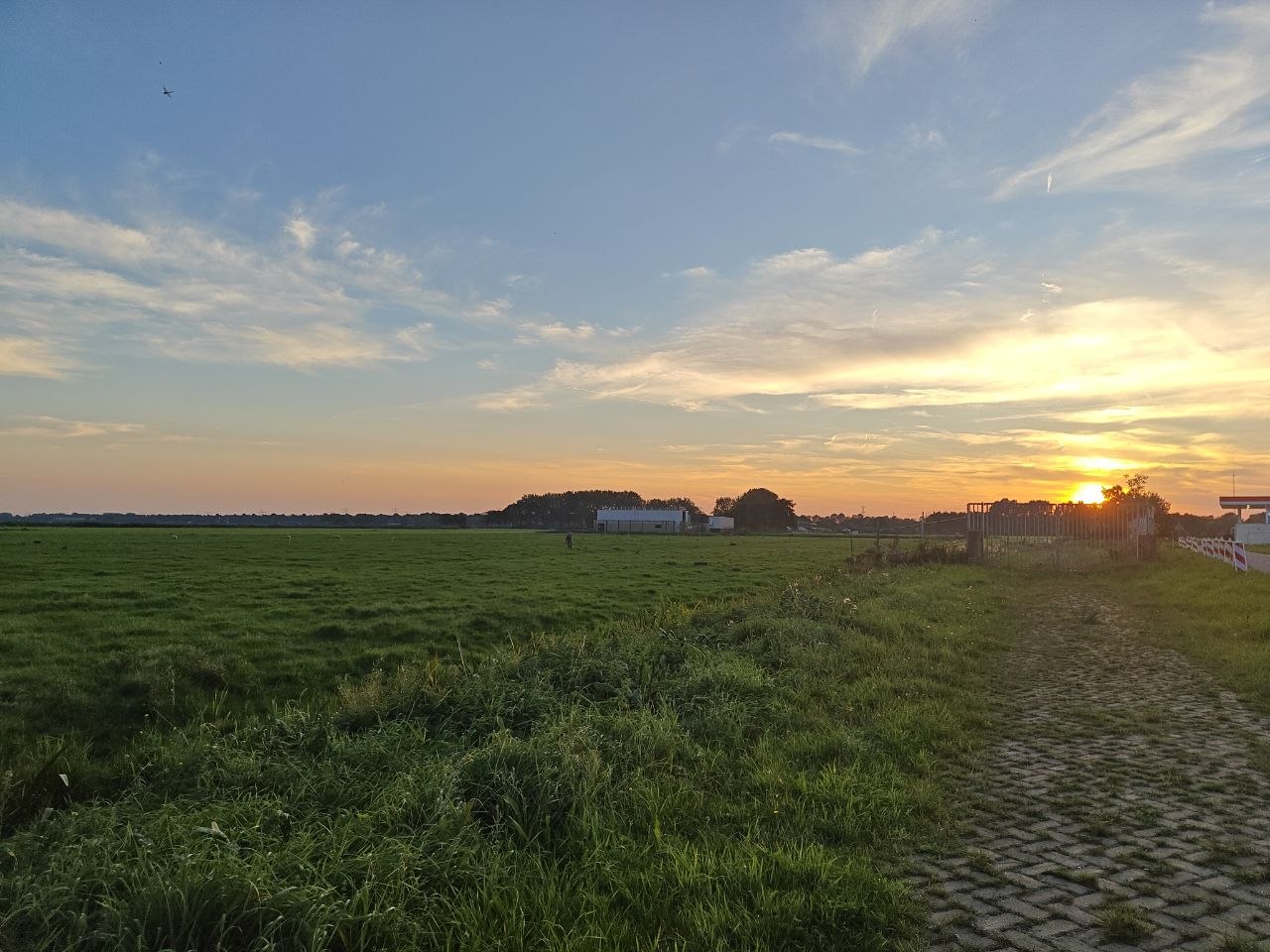 sunset over a meadow beside a brick path