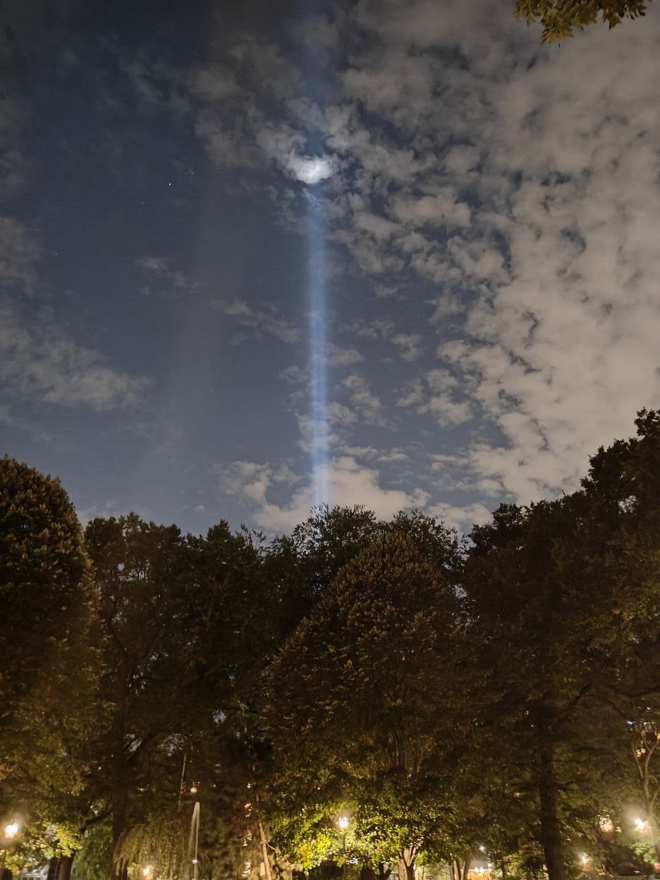 beam of light rising into the night sky above trees